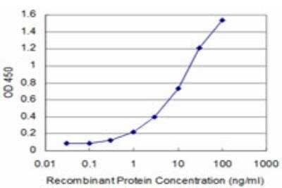 ELISA: FOXQ1 Antibody (2F2) [H00094234-M05] - Detection limit for recombinant GST tagged FOXQ1 is approximately 0.3ng/ml as a capture antibody.