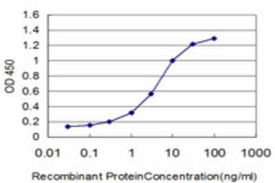 Sandwich ELISA: FOXQ1 Antibody (2H6) [H00094234-M01] - Detection limit for recombinant GST tagged FOXQ1 is approximately 0.3ng/ml as a capture antibody.