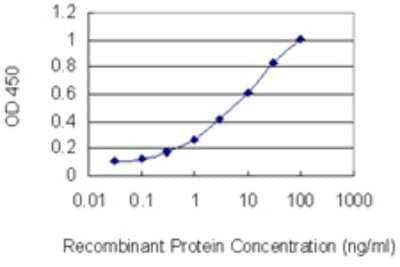 Sandwich ELISA: FRMD3 Antibody (2F1) [H00257019-M09] - Detection limit for recombinant GST tagged FRMD3 is 0.1 ng/ml as a capture antibody.