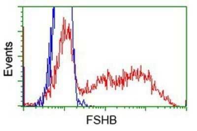 Flow Cytometry: FSH beta Antibody (OTI2A6) - Azide and BSA Free [NBP2-70781] - HEK293T cells transfected with either overexpression plasmid (Red) or empty vector control plasmid (Blue) were immunostaining by anti-FSH beta antibody, and then analyzed by flow cytometry.