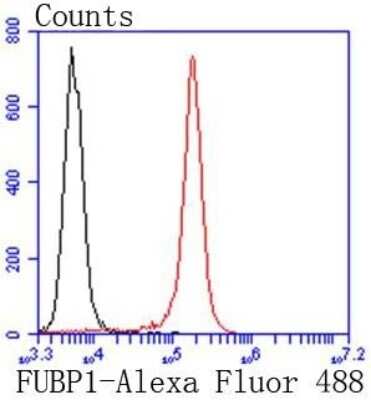 Flow Cytometry: FUBP1 Antibody (SY11-04) [NBP2-67386] - Flow cytometric analysis of Jurkat cells with FUBP1 antibody at 1/50 dilution (red) compared with an unlabeled control (cells without incubation with primary antibody; black). Alexa Fluor 488-conjugated goat anti rabbit IgG was used as the secondary antibody