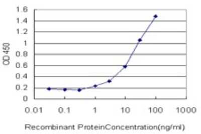 Sandwich ELISA: FVT1 Antibody (2B2-3C11) [H00002531-M01] - Detection limit for recombinant GST tagged FVT1 is approximately 1ng/ml as a capture antibody.