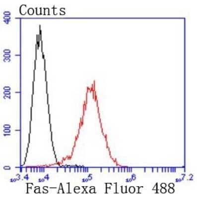 Flow Cytometry: Fas Receptor/TNFRSF6/CD95 Antibody (JJ0942) [NBP2-66831] - Fas/TNFRSF6/CD95 Antibody (JJ0942) [NBP2-66831] - Analysis of Raji cells with Fas antibody at 1/50 dilution (red) compared with an unlabelled control (cells without incubation with primary antibody; black). Alexa Fluor 488-conjugated goat anti rabbit IgG was used as the secondary antibody.