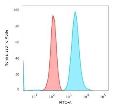 Flow Cytometry Fascin Antibody (FSCN1/417) - Azide and BSA Free