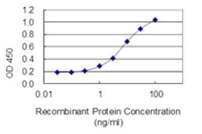 Sandwich ELISA Capture: Fatty Acid Synthase/FASN Antibody (3F2-1F3) [H00002194-M01] - Detection limit for recombinant GST tagged Fatty Acid Synthase/FASN is 0.1 ng/ml as a capture antibody.