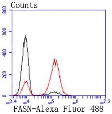 Flow Cytometry: Fatty Acid Synthase/FASN Antibody (JJ0939) [NBP2-66833] - Analysis of A549 cells with Fatty Acid Synthase antibody at 1/50 dilution (red) compared with an unlabelled control (cells without incubation with primary antibody; black). Alexa Fluor 488-conjugated goat anti rabbit IgG was used as the secondary antibody