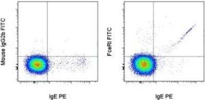 Flow Cytometry: Fc epsilon RI Antibody (AER-37) [FITC] [NBP1-43940] - Staining of normal human peripheral blood cells with Anti-Human IgE PE and Mouse IgG2b K Isotype Control FITC (left) or Anti-Human Fc epsilon Receptor I alpha (FceR1) FITC (right). Cells in the lymphocyte gate were used for analysis (note: basophils reside in FSC/SSC position of lymphocytes).