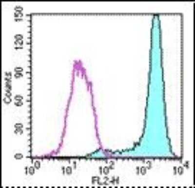 Flow Cytometry: Fc epsilon RI Antibody (MAR-1) [Biotin] [NBP1-43523] - Staining of MC/9 cell line with 0.06 ug of Armenian Hamster IgG Isotype Control Biotin (open histogram) or 0.06 ug of Anti-Mouse Fc epsilon Receptor I alpha (Fc epsilon R1) Biotin (filled histogram)followed by Streptavidin PE . Total viable cells were use
