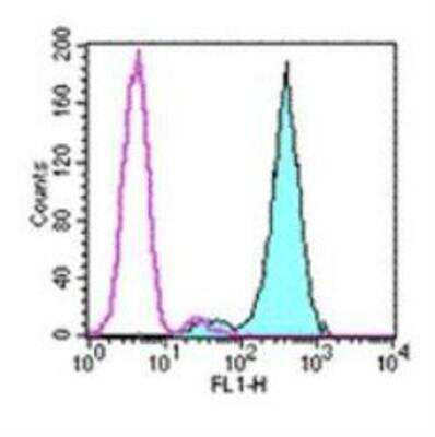 Flow Cytometry: Fc epsilon RI Antibody (MAR-1) [FITC] [NBP1-43941] - Staining of the MC/9 cell line with 0.06 ug of Armenian Hamster IgG Isotype Control FITC (open histogram) or 0.06 ug of Anti-Mouse Fc epsilon Receptor I alpha (Fc epsilon R1) FITC (filled histogram). Total viable cells were used for analysis.
