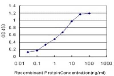 Sandwich ELISA: Fc gamma RIIA/CD32a Antibody (3E8) [H00002212-M06] - Detection limit for recombinant GST tagged FCGR2A is approximately 0.03ng/ml as a capture antibody.