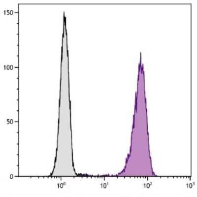 Flow Cytometry: Fc gamma RIIIA/CD16a Antibody (GRM1) [FITC] [NBP1-28445] - Analysis of granulocytes.