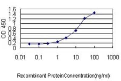 ELISA: Ferritin Light Chain Antibody (X3) [H00002512-M18] - Detection limit for recombinant GST tagged FTL is approximately 0.03ng/ml as a capture antibody.
