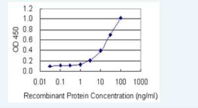 ELISA: Ferritin mitochondrial Antibody (6G3) [H00094033-M05-100ug] - Detection limit for recombinant GST tagged FTMT is 0.3 ng/ml as a capture antibody.