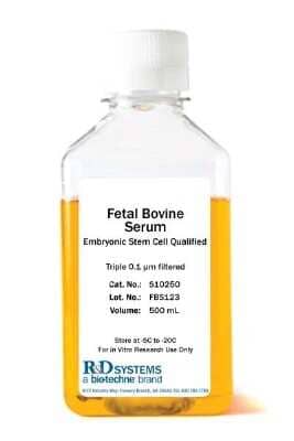 Serum: Fetal Bovine Serum - Embryonic Stem Cell Qualified [S10295-NOV] - For applications utilizing embryonic stem (ES) cells, the success is highly dependent on identifying a suitable lot of Fetal Bovine Serum. ES Cell Qualified Fetal Bovine Serum is pre-screened for exceptional performance with embryonic stem cells, minimizi