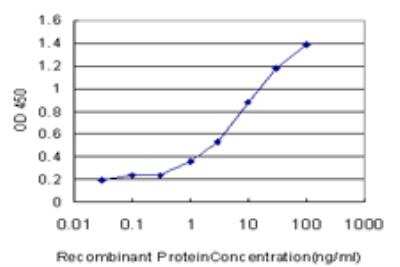 ELISA: Fibrillarin Antibody (3E10) [H00002091-M09] - Detection limit for recombinant GST tagged FBL is approximately 0.1ng/ml as a capture antibody.
