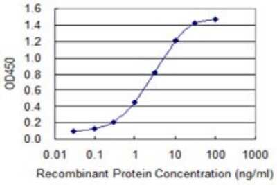Sandwich ELISA: Fibrinogen gamma chain Antibody (1E2) [H00002266-M02] - Detection limit for recombinant GST tagged FGG is 0.03 ng/ml as a capture antibody.