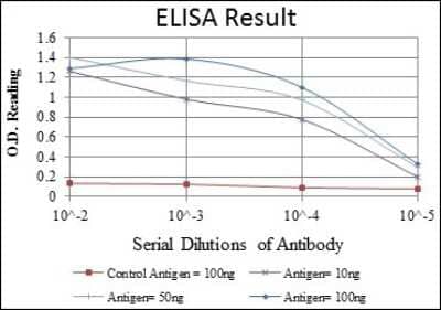 ELISA: Fibrinogen gamma chain Antibody (4H9) [NBP2-37556] - Red: Control Antigen (100ng); Purple: Antigen (10ng); Green: Antigen (50ng); Blue: Antigen (100ng);