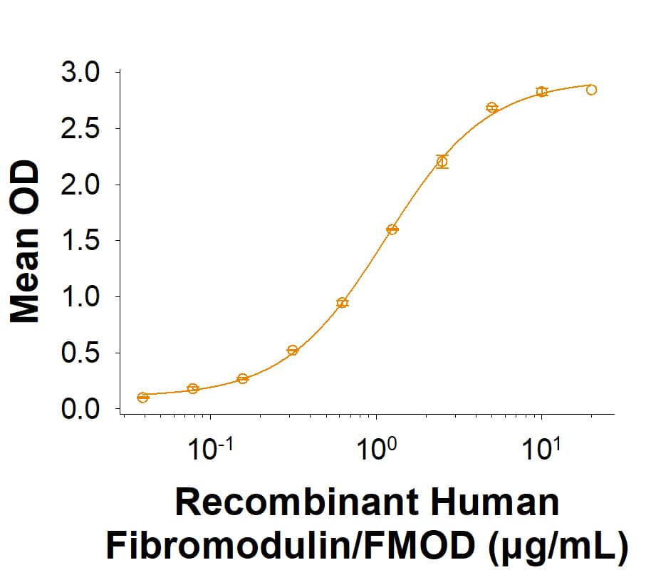 Binding Activity Fibromodulin/FMOD [Unconjugated]