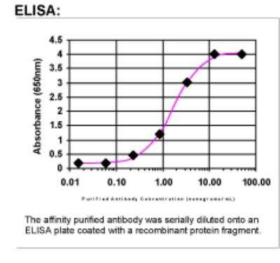 ELISA: Fibronectin/Anastellin Antibody [41610002]