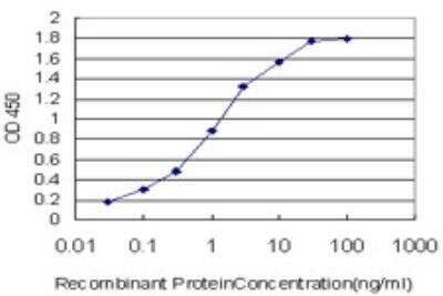ELISA: Flamingo homolog 1/CELSR3 Antibody (2F7) [H00001951-M01] - Detection limit for recombinant GST tagged CELSR3 is approximately 0.03ng/ml as a capture antibody.
