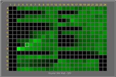 IF assay in a high throughput format for screening Dengue virus inhibitors. HEK 293 cells in DMEM 5% FBS/1% PS at 5000 cells/well are infected in presence of inhibitors with Dengue 2 New Guinea (VR-1584) using 384-well collagen-coated plates. After 48 h incubation at 37C/5% CO2, the supernatant is removed and the Alexa Fluor 647 conjugated Ab is added at 1:5250. Plates were read after O/N incubation. Columns 1-2: Cells control. 23-24, rows A-L: Cells + virus control. 23-24, rows M-P: Cells + virus control + control drug (Positive control). 3-12 and 13-22: Experimental compounds added in a dose response manner from high to low concentration (Columns 3-13 higher concentration, columns 12-22 lower concentration).