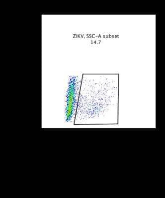 Mk2 cell line was infected with ZIKA virus at 72 p.o.i and the sample was stained and analyzed by flow cytometry.  Image from verified customer review.