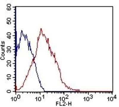 Flow Cytometry: Flt-3/Flk-2/CD135 Antibody (7E8.2C8) - Azide and BSA Free [NBP2-80739] - HEK293 cells were stained (surface) with Flt-3/Flk-2/CD135 antibody (clone: 7E8.2C8; red) or isotype control (mouse IgG2 lambda; blue) and positive staining observed using PE conjugated mouse anti-IgG(H+L) secondary antibody. Live cells (PPI negative) were gated for analysis Image from the standard format of this antibody.