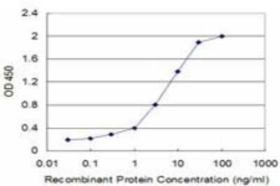 ELISA: Flt-3 Ligand/FLT3L Antibody (4C4) [H00002323-M07] - Detection limit for recombinant GST tagged FLT3LG is approximately 0.03ng/ml as a capture antibody.