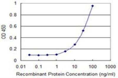 ELISA: FoxM1 Antibody (1D3) [H00002305-M09] - Detection limit for recombinant GST tagged FOXM1 is 1 ng/ml as a capture antibody.