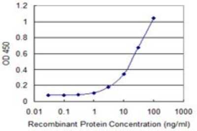 Sandwich ELISA: FoxM1 Antibody (2E2) [H00002305-M07] - Detection limit for recombinant GST tagged FOXM1 is 0.3 ng/ml as a capture antibody.