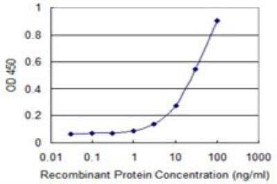 ELISA: FoxM1 Antibody (2H4) [H00002305-M05] - Detection limit for recombinant GST tagged FOXM1 is 1 ng/ml as a capture antibody.