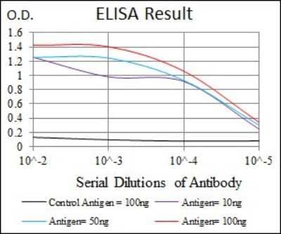 ELISA: FoxP1 Antibody (6E4) [NBP2-37450] - Red: Control Antigen (100ng); Purple: Antigen (10ng); Green: Antigen (50ng); Blue: Antigen (100ng);