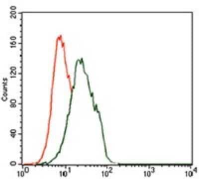 Flow Cytometry: FoxP1 Antibody (6E4) [NBP2-37450] - Flow cytometric analysis of Jurkat cells using FOXP1 mouse mAb (green) and negative control (red).