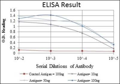 ELISA: FoxP2 Antibody (5C11A8) [NBP2-37559] - Red: Control Antigen (100ng); Purple: Antigen (10ng); Green: Antigen (50ng); Blue: Antigen (100ng);