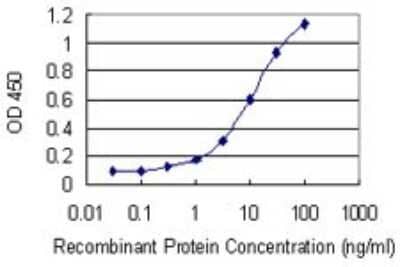 Sandwich ELISA: Frizzled-4 Antibody (3G7) [H00008322-M02] - Detection limit for recombinant GST tagged FZD4 is 0.1 ng/ml as a capture antibody.