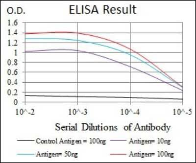 ELISA: Frizzled-5 Antibody (2D12) [NBP2-37451] - Red: Control Antigen (100ng); Purple: Antigen (10ng); Green: Antigen (50ng); Blue: Antigen (100ng);