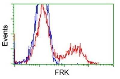 Flow Cytometry: Frk Antibody (OTI6D2) - Azide and BSA Free [NBP2-70775] - HEK293T cells transfected with either Frk Human Tagged ORF Clone overexpress plasmid (Red) or empty vector control plasmid (Blue) were immunostaining by anti-FRK antibody , and then analyzed by flow cytometry.