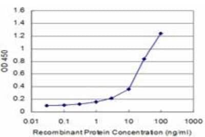 ELISA: Fucosyltransferase 7/FUT7 Antibody (1C12) [H00002529-M03] - Detection limit for recombinant GST tagged FUT7 is approximately 0.3ng/ml as a capture antibody.