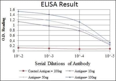 ELISA: Fyn Antibody (2H8) [NBP2-37587] - Red: Control Antigen (100ng); Purple: Antigen (10ng); Green: Antigen (50ng); Blue: Antigen (100ng);