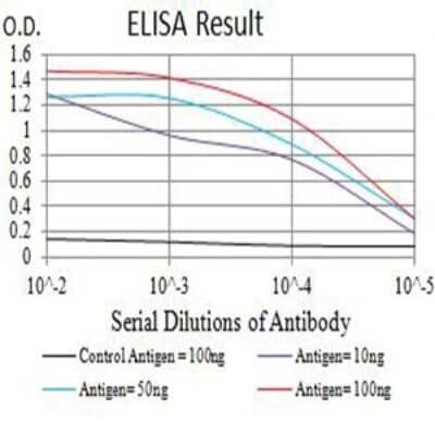 ELISA: G-CSF R/CD114 Antibody (8F8B12) [NBP2-61696] - Black line: Control Antigen (100 ng);Purple line: Antigen (10ng); Blue line: Antigen (50 ng); Red line:Antigen (100 ng)