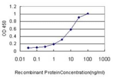 Sandwich ELISA: G gamma7 Antibody (1C11-1B3) [H00002788-M01] - Detection limit for recombinant GST tagged GNG7 is approximately 1ng/ml as a capture antibody.