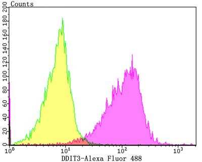 Flow Cytometry: GADD153/CHOP Antibody [NBP2-76926] - Flow cytometric analysis of HepG2 cells with DDIT3 antibody at 1/50 dilution (fuchsia) compared with an unlabelled control (cells without incubation with primary antibody; yellow). Alexa Fluor 488-conjugated goat anti rabbit IgG was used as the secondary antibody.