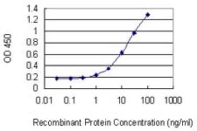 Sandwich ELISA GAGE5 Antibody (8F8)