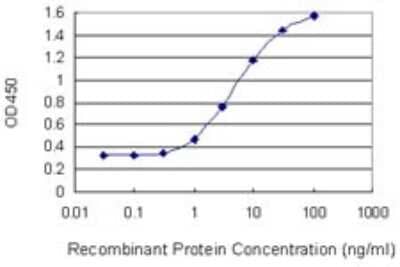 Sandwich ELISA: GALK1 Antibody (2E9) [H00002584-M01] - Detection limit for recombinant GST tagged GALK1 is 0.3 ng/ml as a capture antibody.