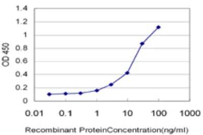 Sandwich ELISA: GALNTL4 Antibody (1F9) [H00374378-M01] - Detection limit for recombinant GST tagged GALNTL4 is approximately 0.3ng/ml as a capture antibody.