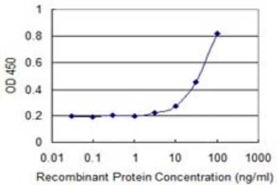 Sandwich ELISA: GAMT Antibody (3H4) [H00002593-M04] - Detection limit for recombinant GST tagged GAMT is 1 ng/ml as a capture antibody.