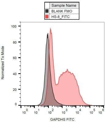 Flow Cytometry: GAPDH-2 Antibody (Hs-8) [NB500-456] - Detection of GAPDHS in acrosomes of human sperms with anti-GAPDHS (Hs-8) FITC.