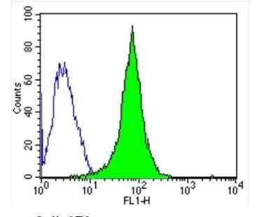 Flow Cytometry: GAPDH Antibody (GA1R) [NBP2-37828] - Analysis of GAPDH in NIH-3T3 cells (green) compared to an isotype control (blue).