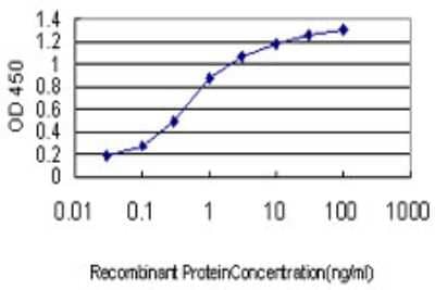 Sandwich ELISA: GAS2L3 Antibody (1D4) [H00283431-M01] - Detection limit for recombinant GST tagged GAS2L3 is approximately 0.03ng/ml as a capture antibody.