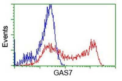 Flow Cytometry GAS7 Antibody (OTI2F6)